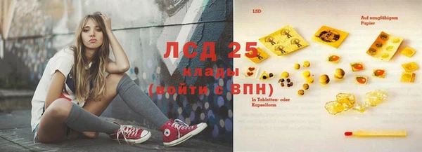 индика Аркадак