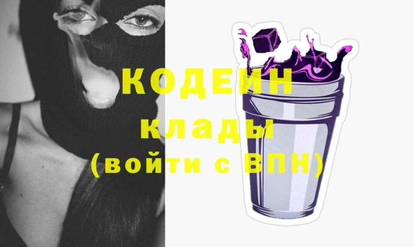 индика Аркадак