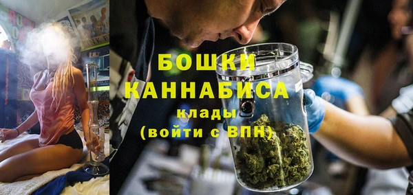 индика Аркадак