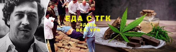 индика Аркадак