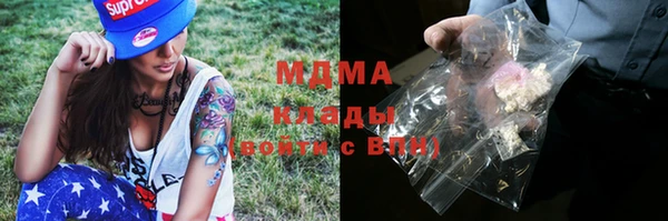 индика Аркадак