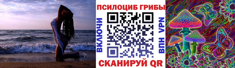 Псилоцибиновые грибы прущие грибы  где найти   Пугачёв 